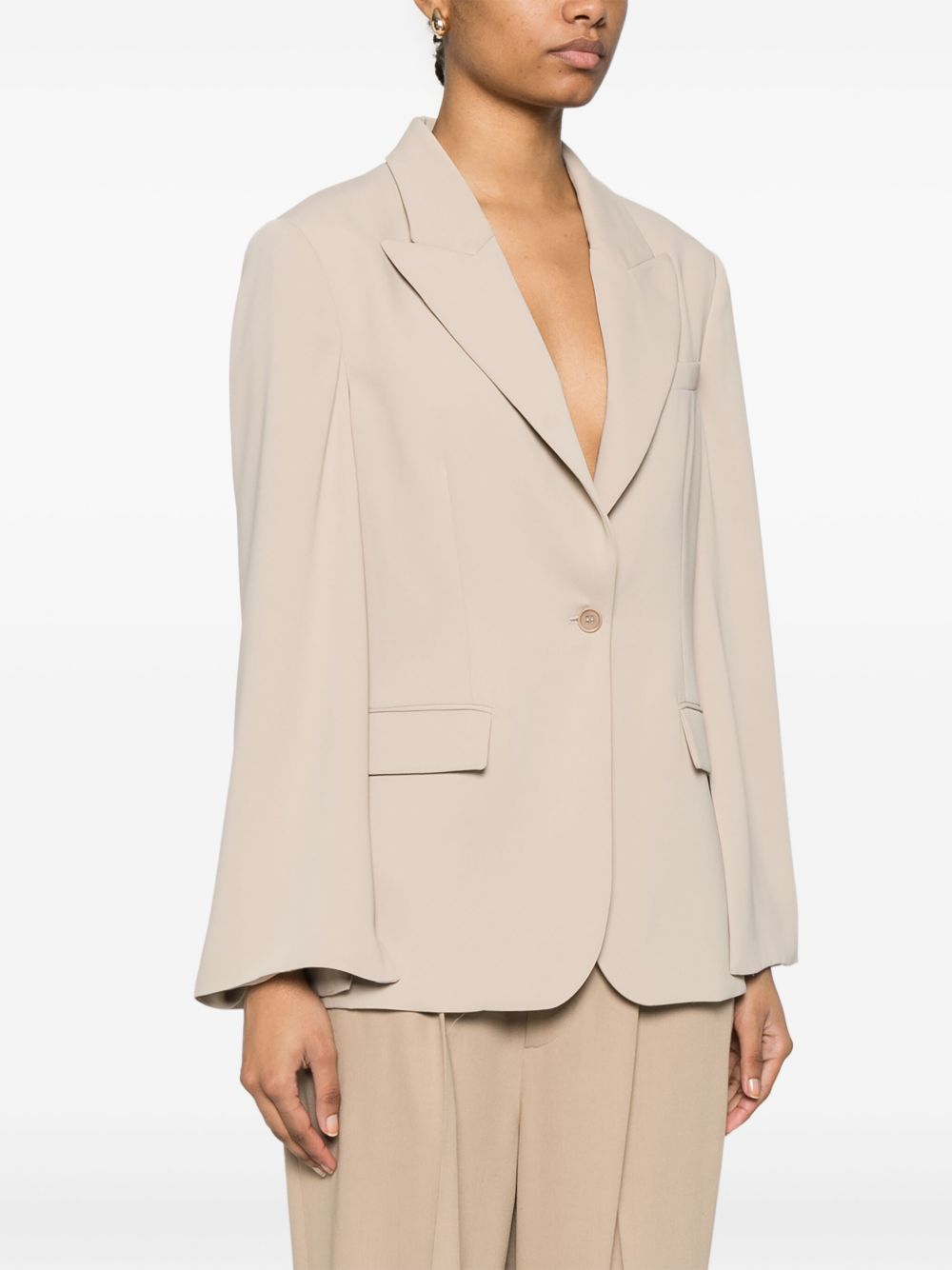 Parosh Parosh Single-Breasted Blazer