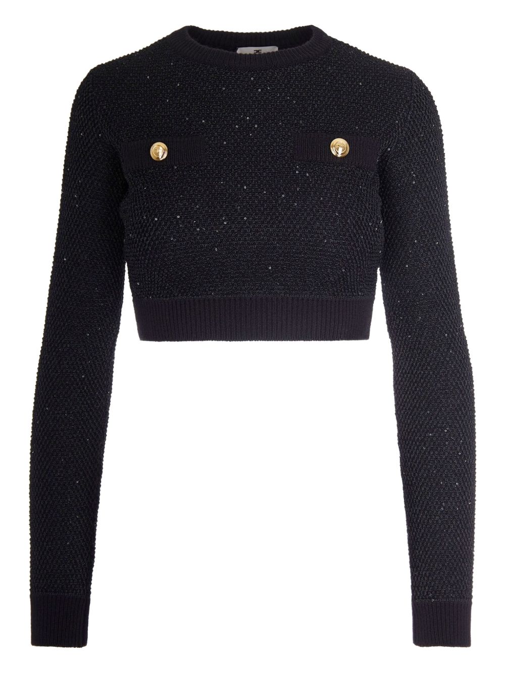 Elisabetta Franchi Elisabetta Franchi Sweaters Black