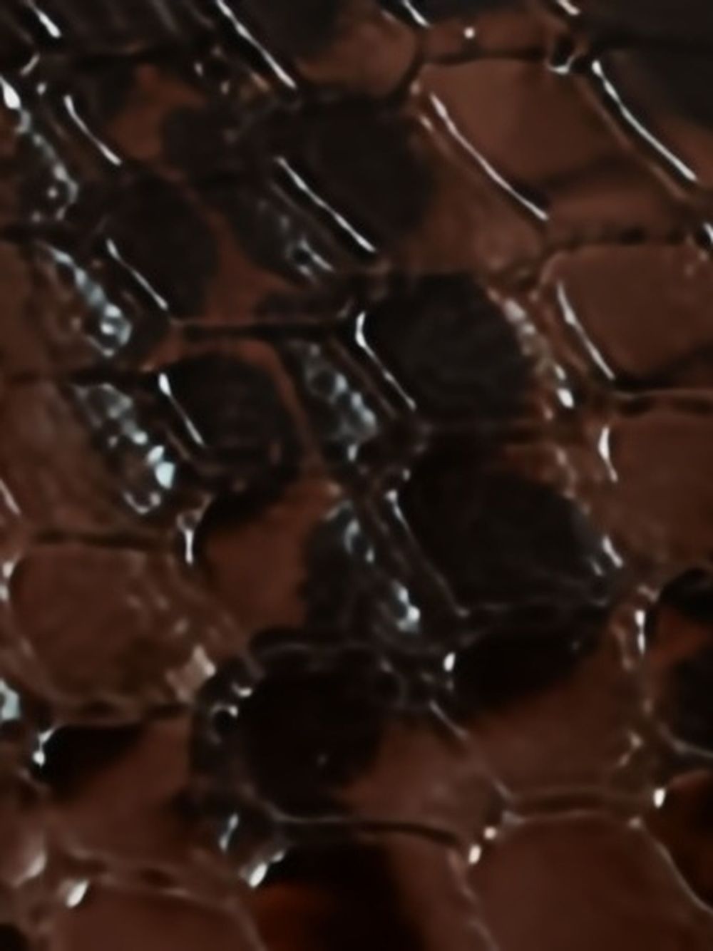 Stella McCartney Stella McCartney Sneakers Brown